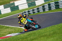 cadwell-no-limits-trackday;cadwell-park;cadwell-park-photographs;cadwell-trackday-photographs;enduro-digital-images;event-digital-images;eventdigitalimages;no-limits-trackdays;peter-wileman-photography;racing-digital-images;trackday-digital-images;trackday-photos